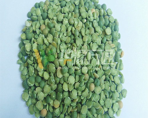 <a href=http://www.tmall163.cn/product/8/ target=_blank class=infotextkey>豌豆脫皮機(jī)</a>